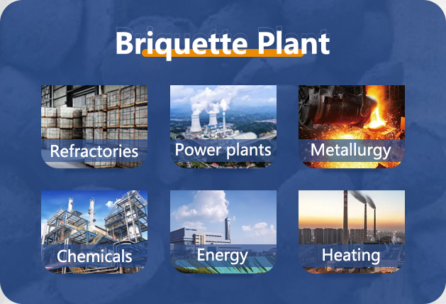 Briquette Plant